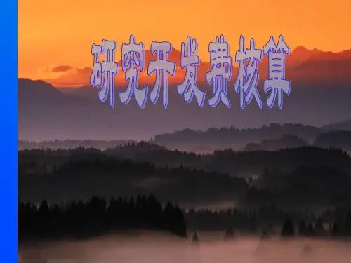 《研究开发费核算》幻灯片PPT