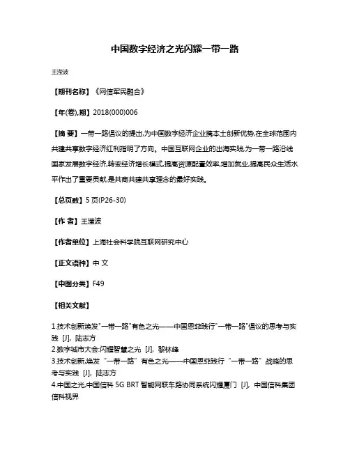 中国数字经济之光闪耀一带一路