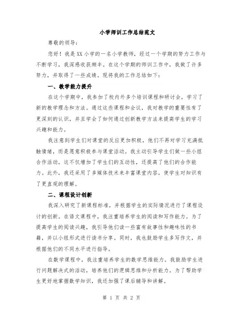 小学师训工作总结范文