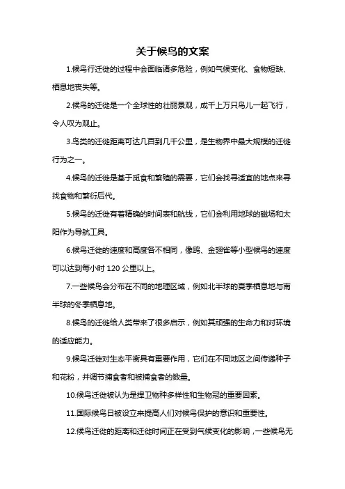 关于候鸟的文案-概述说明以及解释