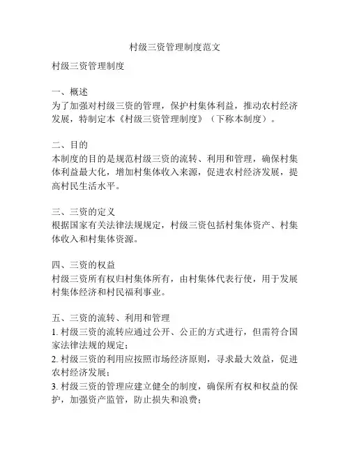 村级三资管理制度范文