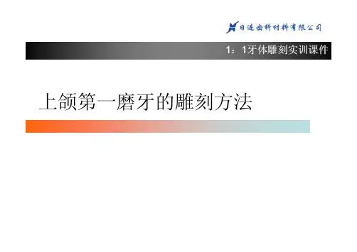 上颌第一磨牙1：1雕刻