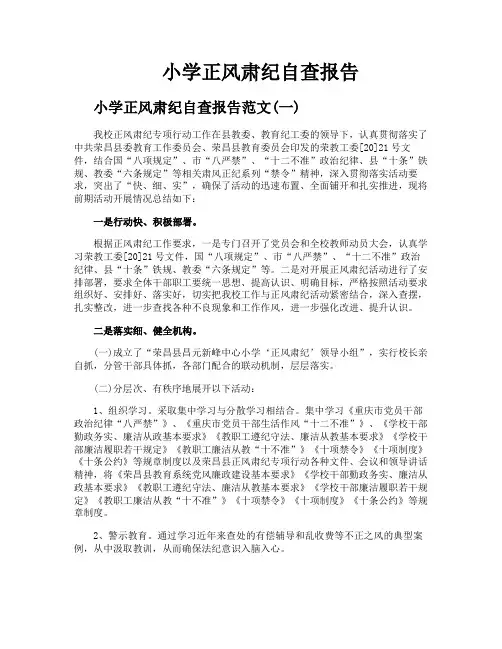 小学正风肃纪自查报告