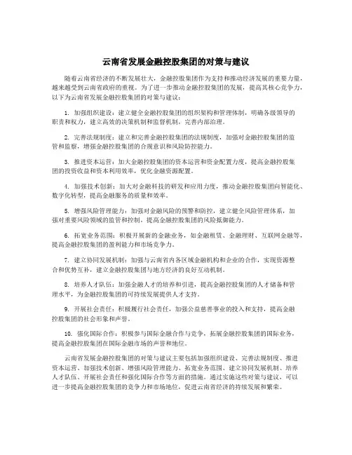云南省发展金融控股集团的对策与建议