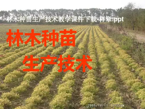 林木种苗生产技术教学课件下载-样章ppt.