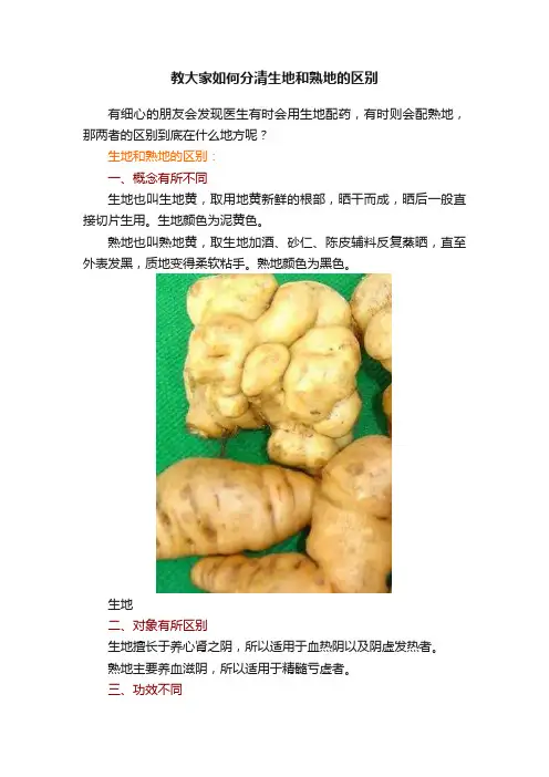 教大家如何分清生地和熟地的区别
