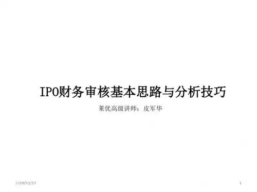 IPO及上市公司审计要点PPT9.30资料