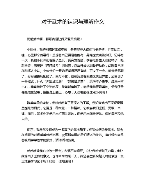 对于武术的认识与理解作文
