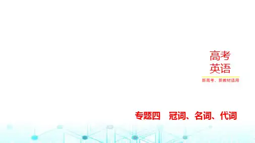 新高考英语一轮复习专题四冠词、名词、代词课件