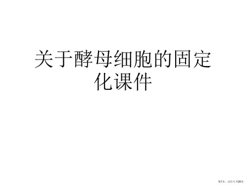酵母细胞的固定化课件课件