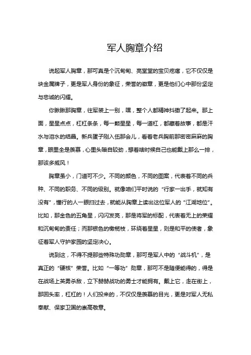 军人胸章介绍