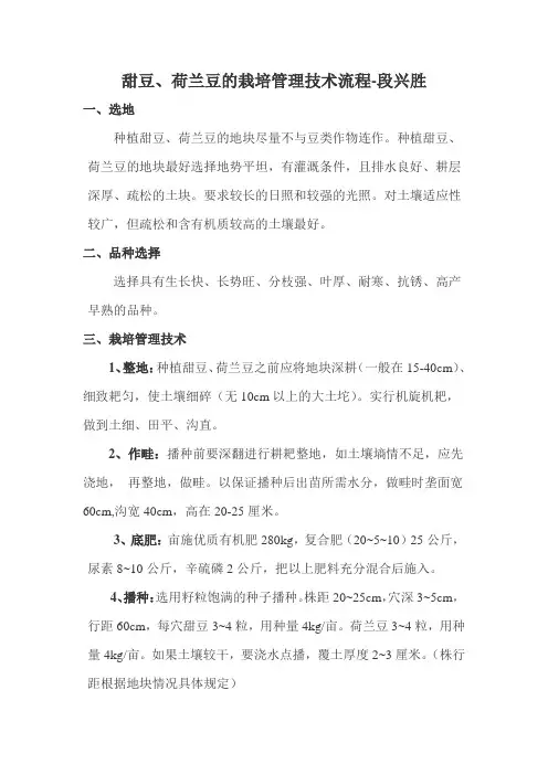 荷兰豆、甜豆的栽培技术流程