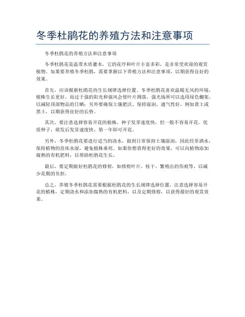 冬季杜鹃花的养殖方法和注意事项
