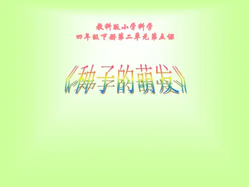 《种子的萌发》课件