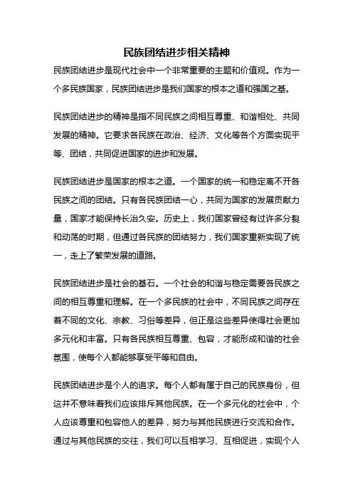 民族团结进步相关精神