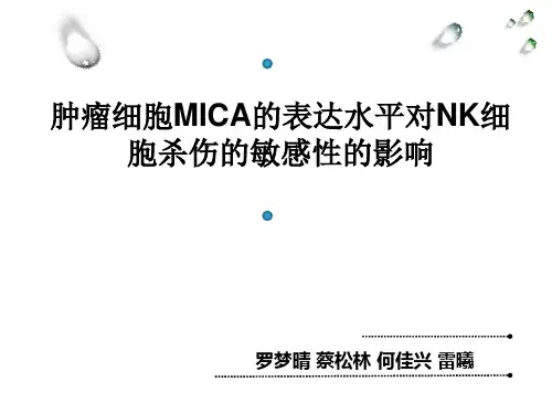 MICA与NK细胞