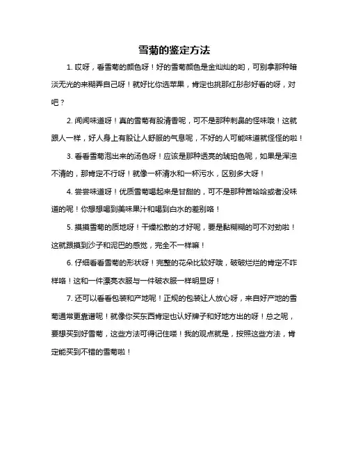 雪菊的鉴定方法