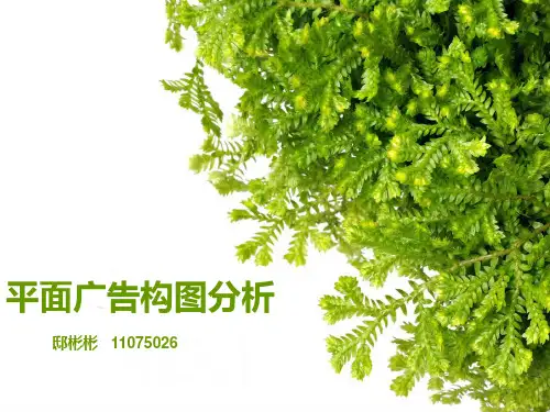 平面广告构图分析