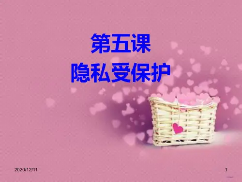 第五课 隐私受保护PPT教学课件