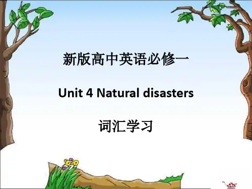 2019人教新版高中英语必修一Unit 4 Natural disasters New words