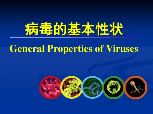 病毒的基本性状 PPT精品课件