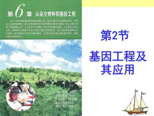 基因工程及其应用ppt课件