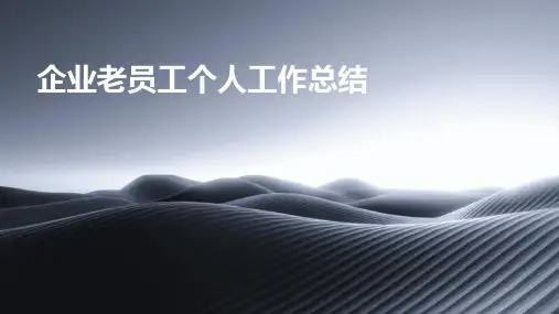 企业老员工个人工作总结PPT