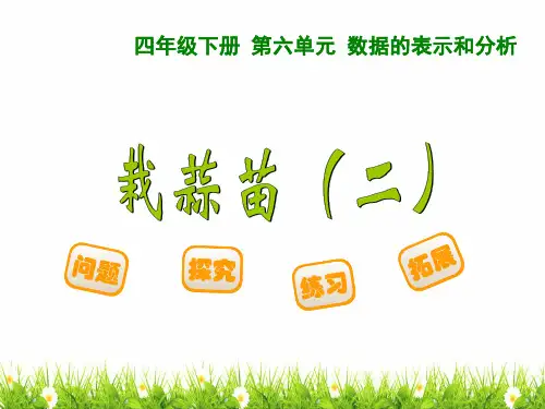 最新北师大版小学四年级数学下册《栽蒜苗(二)》精品课件