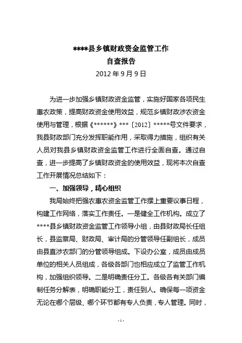乡镇财政资金监管工作自查报告 汇报材料