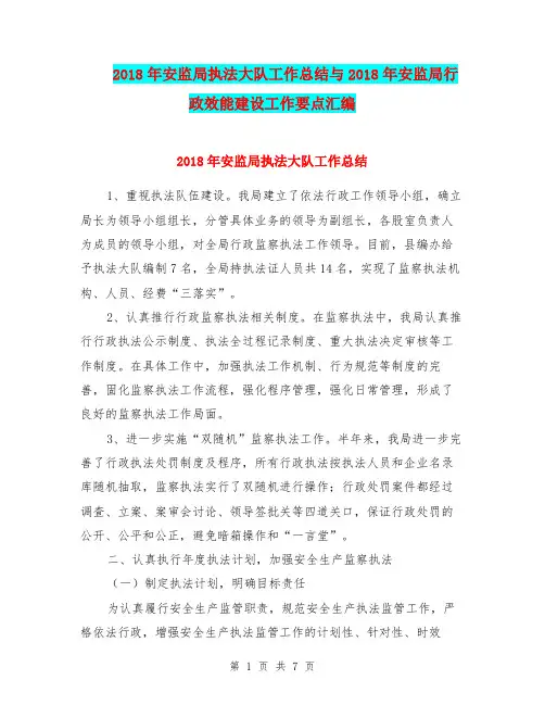 2018年安监局执法大队工作总结与2018年安监局行政效能建设工作要点汇编