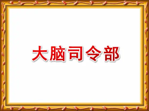 大班健康《大脑总司令》PPT课件