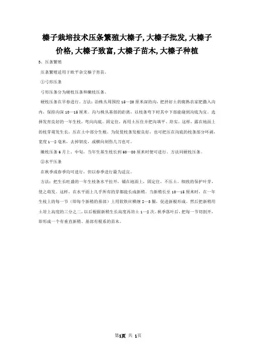 榛子栽培技术压条繁殖大榛子,大榛子批发,大榛子价格,大榛子致富,大榛子苗木,大榛子种植