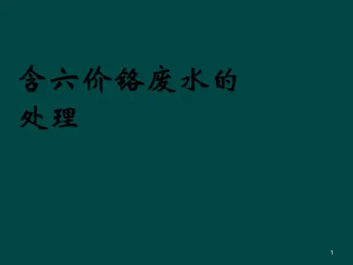 含六价铬废水的处理ppt课件