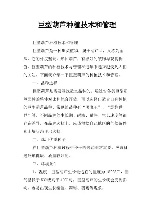 巨型葫芦种植技术和管理