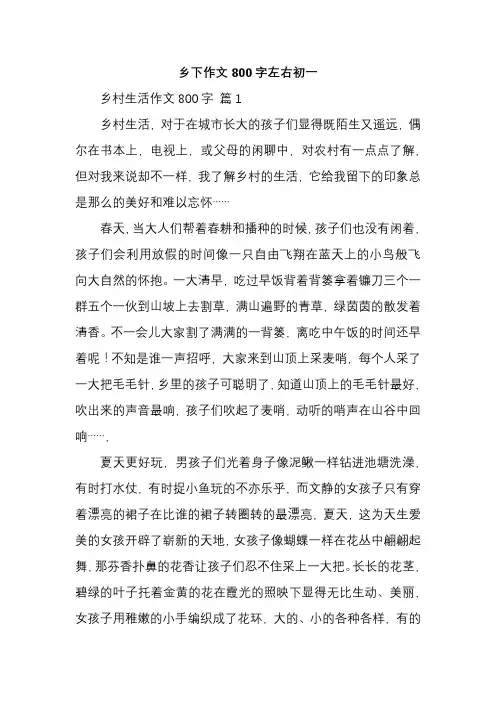 乡下作文800字左右初一