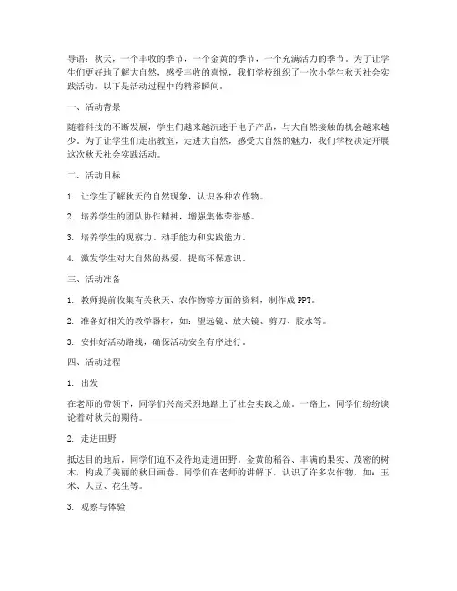 小学生秋天社会实践