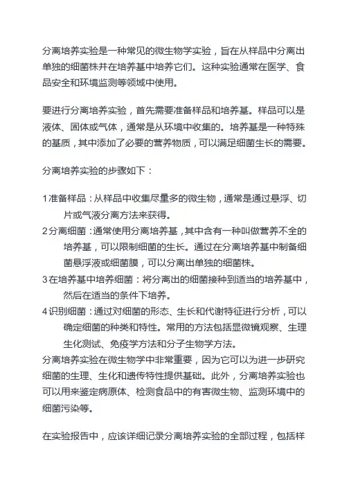 细菌的分离培养实验报告