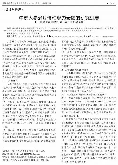 中药人参治疗慢性心力衰竭的研究进展