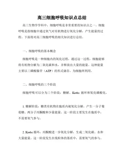高三细胞呼吸知识点总结