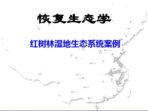 红树林湿地生态系统