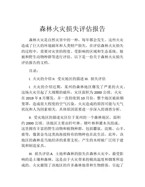森林火灾损失评估报告