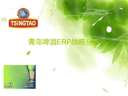 青岛啤酒ERP战略分析 2