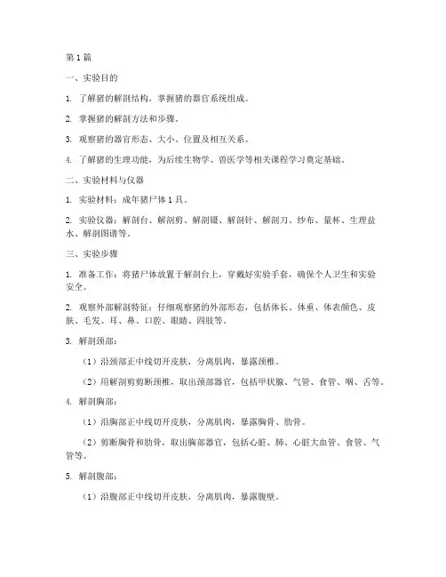 猪大体解剖实验报告(3篇)