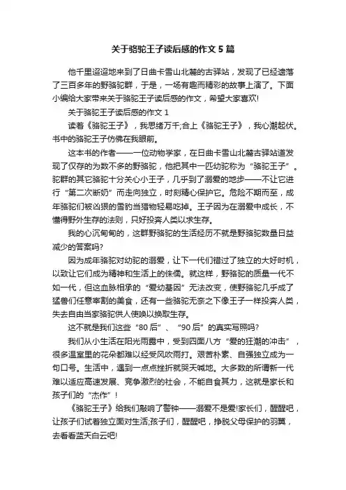 关于骆驼王子读后感的作文5篇