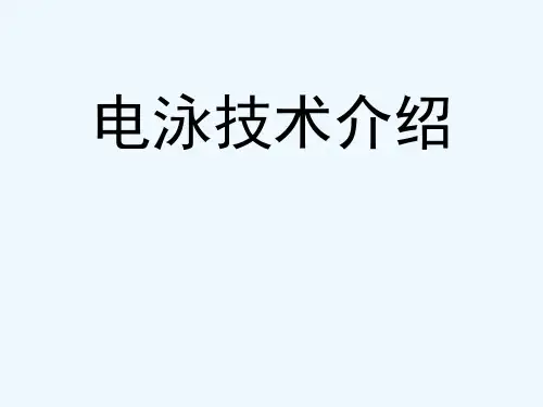 蛋白质电泳技术介绍