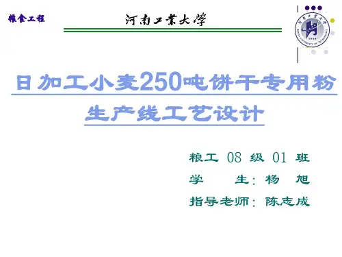 日加工小小麦250吨饼干专用粉生产线工艺设计