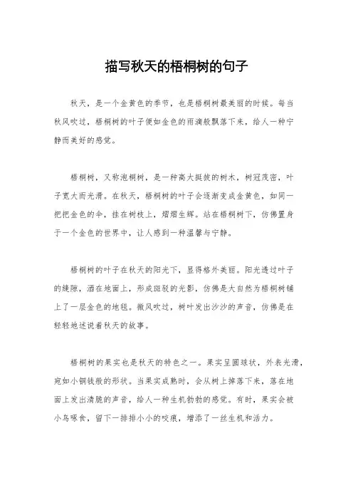 描写秋天的梧桐树的句子