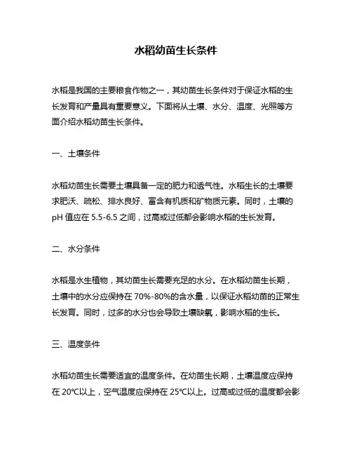 水稻幼苗生长条件