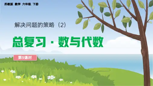 六年级数学解决问题的策略总复习PPT课件