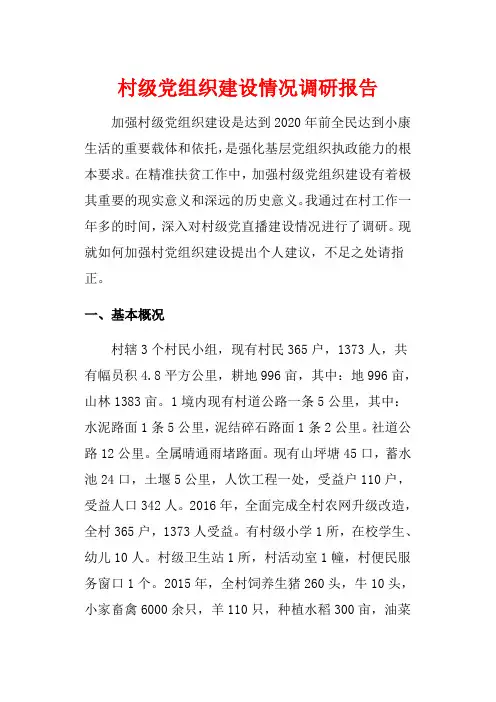 村级党组织建设情况调研报告 (精编版)